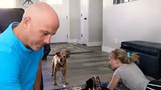 Dog Gets Annoyed by Hunting Calls-1322903