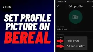 How To Set Profile Picture on BeReal