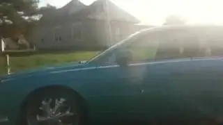 Memphis Whip