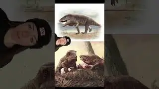 triassic animals were f***ed up