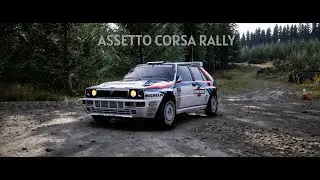 ASSETTO CORSA RALLY