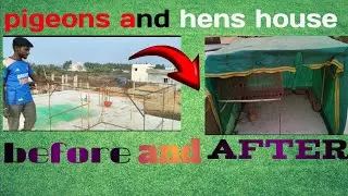How to do pigeons and hence house in low cost kabutar aur murgi ka Ghar Kaisa banana kam budget mein