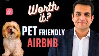 Pet Friendly Airbnb: What Every Host Needs to Know!