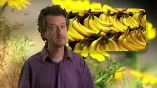 Kuhnemann Beekeeping Lesson 4 Training