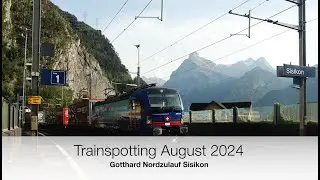 Trainspotting August 2024 - Gotthard Nordzulauf Sisikon - 4K