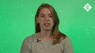 Telegraph Christmas Charity Appeal