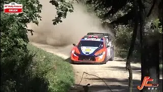 WRC POLAND 2024 // FLAT OUT & CRAZY MOMENTS // BestOf by JcVids