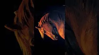 Рисую Каждый День 🍄 Рыжий конь #horse #art #drawing #horsedrawing #short #horseart #painthorse