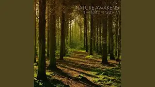Nature Awakens
