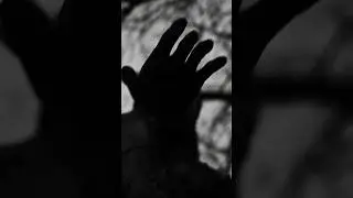 Elizabeth Fraser: Apples #singersongwriter #dreampop #photography  #streetphotography