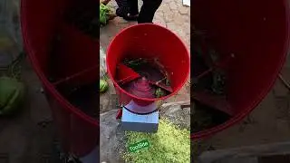 Automatic Fruit & Vegetable Shredding Machine | Agricultural Equipment for Farmers #chicken