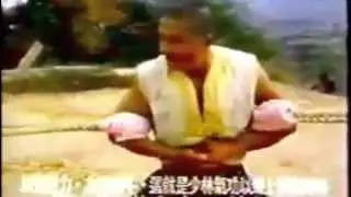 wushua beat
