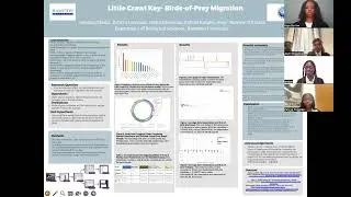 Little Crawl Keys Florida Birds of Prey migration