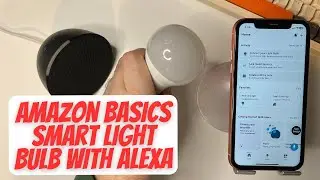 How To Set Up Amazon Basics Smart Light Bulbs with Alexa
