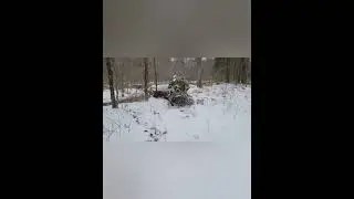 Property Patrol in a Wintery Icey Wonderland 