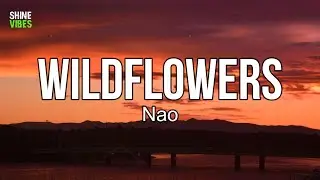 Nao - Wildflowers (Lyrics) | Wildflowers, they grow on their own