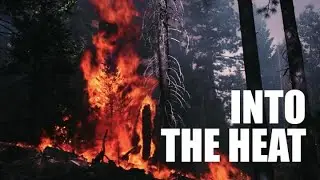 Into the Heat