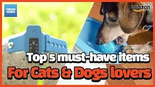 Top 5 must-have items for cat and dog lovers that you can buy on Amazon and online [KICKSTARTER]