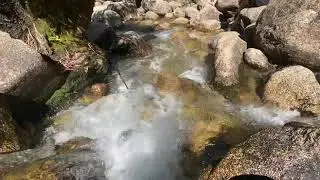 Ladies bath fall mount buffalo 😍