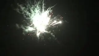 椰子王(10發)