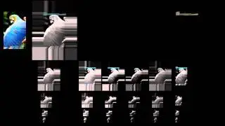 Visualization of Local Laplacian Filters in Halide