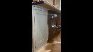 Graco Ultra QuickShot