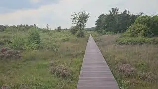 Korenburgerveen / Winterswijk / Walking tour /Marveld Recreatie / Achterhoek / Nederland / 2025 