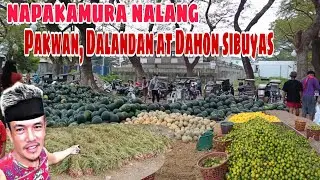 Murang pakwan at dalandan sa Angeles City halos ibigay nalang sa mga tao sa sobrang dami