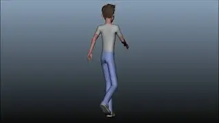 Male Walk cycle female walk cycle and run cycle