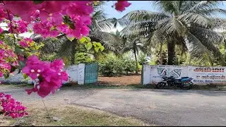 No:108 Excellent Farmland(70 cent) for sale in Marakanam(ECR) | Contact: 9626716274