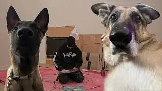 Defacing My Dog's Debut Art Piece pt 1 (thevid1-4-26)