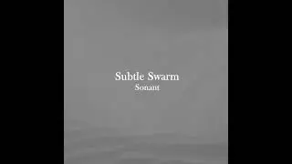 Coming Soon!! Sonant - Subtle Swarm LP  #music #ambient #ambientmusic #backgroundmusic