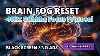 BRAIN FOG RESET: 40Hz Gamma Protocol for Focus & Neuroplasticity.
