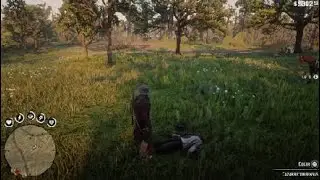 RDR2 - desaf&iacute;o 5 experto en armas