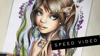 Speed Video - Christine Karron - Budget Brand Castle Art Pencils
