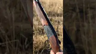 Citori 725 High Grade 28 gauge #uplandhunting #birdhunting #hunting #birddog