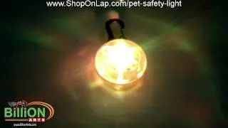 Pet Safety Light