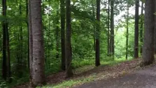 Copy of Winding Ridge Drive Sky Valley Georgia