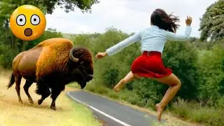Hilarious Moments That Will Make Your Day 😄 #20
