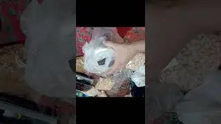 Long vlog... My friend parcel Saudi to India 👍#video #travel #lifeisbutadream #viral #vlog #trending