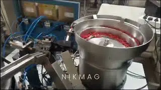 Packaging Line Automation