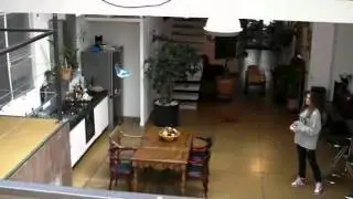 Avitron RC Bionic Bird.mp4.flv