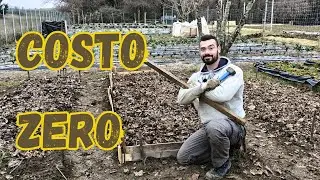 CASSONI fai da te e FRAGOLE GRATIS🍓| Approccio RIGENERATIVO