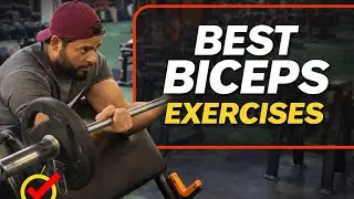 Best Biceps Exercises | Muscle Fitness | Fitness Tips 