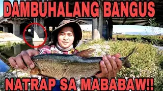 Jackpot!!! Natrap ang dambuhalang isda sa gilid ng ilog.