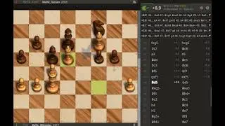 French   The Echo of Time   Zufic Miroslav vs Mufic Goran