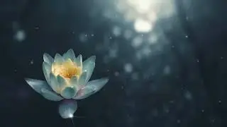 White Noise | Relaxation Mood | Heal Mind | Soft Sleep | Healing Music | Spa Music