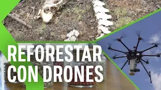 9.000 árboles en apenas 10 minutos: así es como un dron puede ayudar en las labores de reforestación