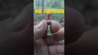 Penetration power of nail gun pellets #viral #shots #gun
