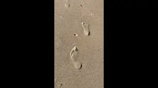 What do you see in this photo? Footprints baffle the internet